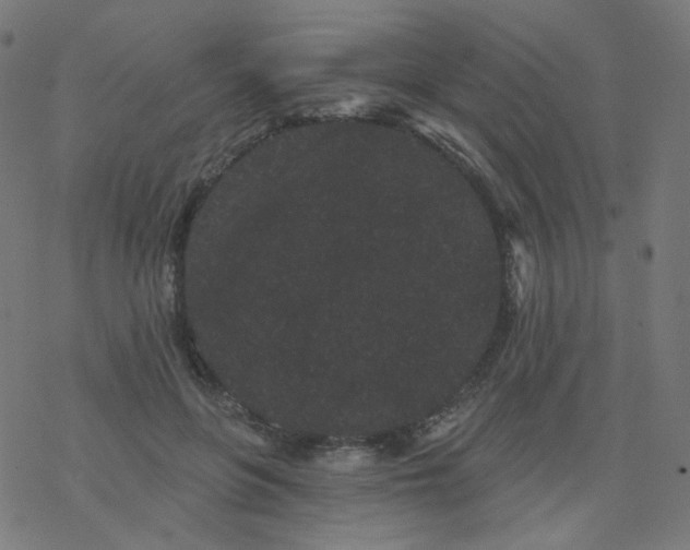 X0000077370551200611031914