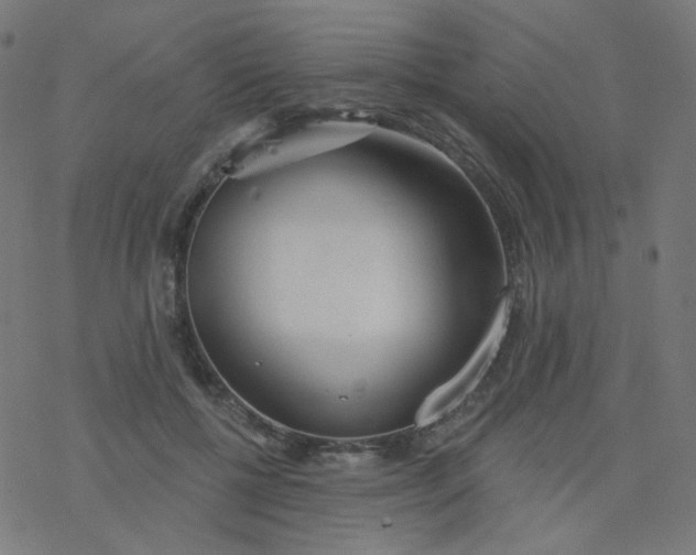 X0000077370552200611031914