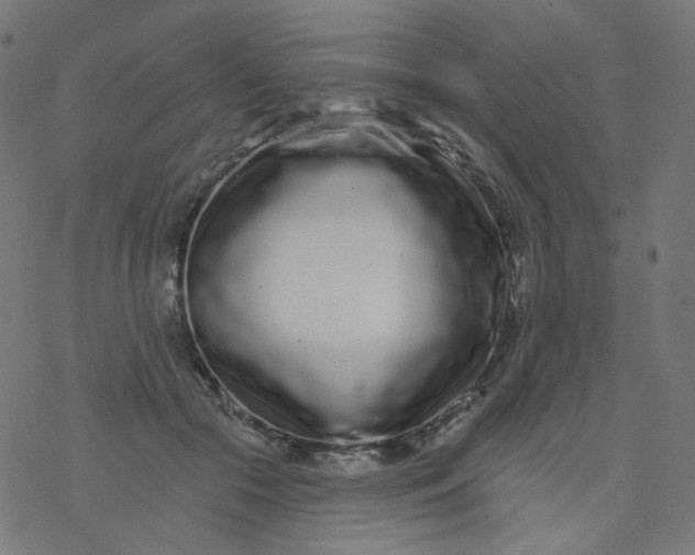 X0000077370553200611031914