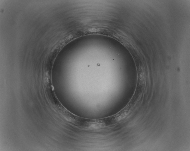 X0000077370555200611031914