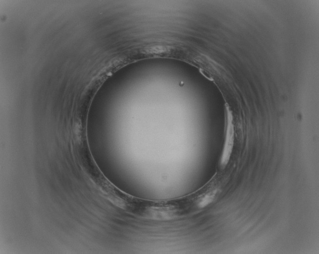 X0000077370556200611031914