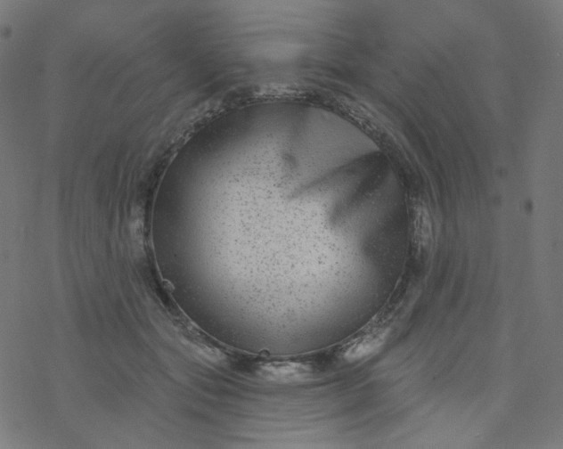 X0000077370557200611031914