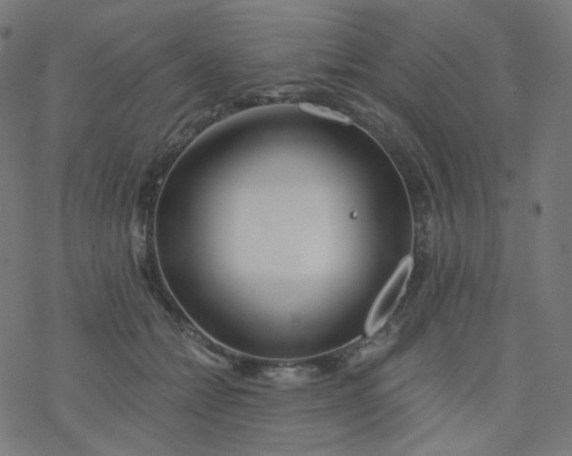 X0000077370558200611031914