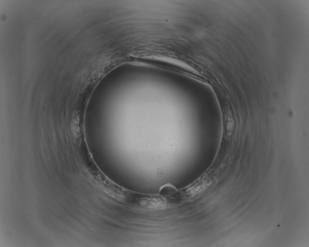 X0000077370559200611031914