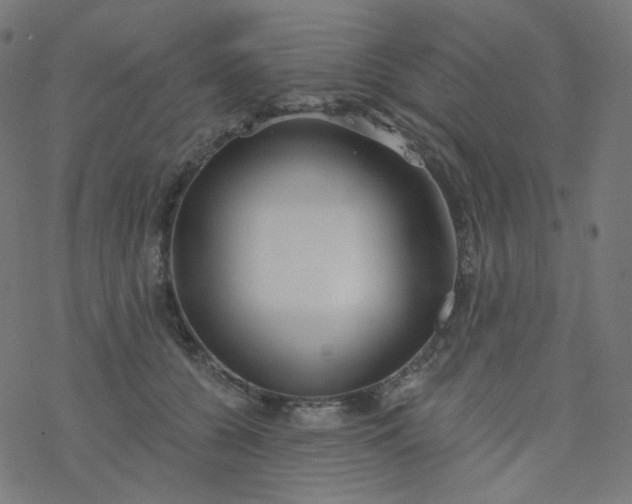 X0000077370560200611031914