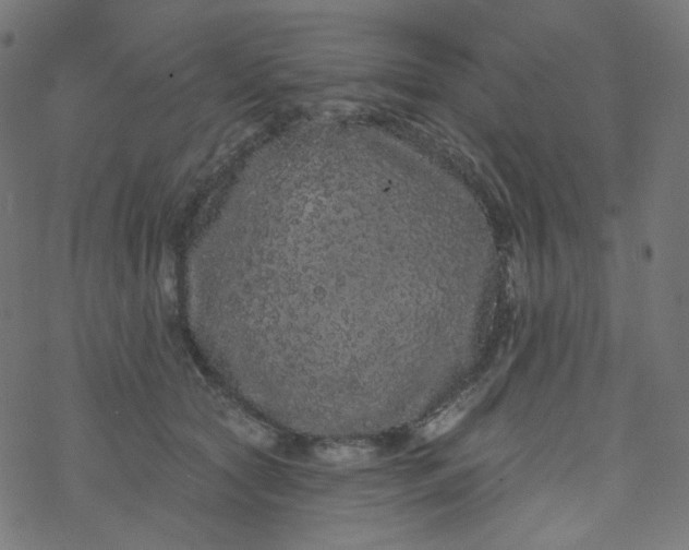 X0000077370561200611031914