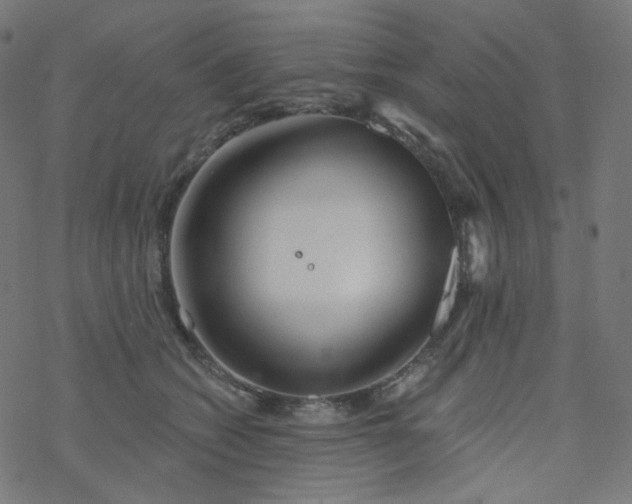 X0000077370562200611031914