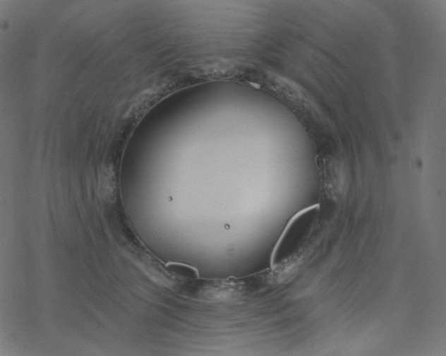 X0000077370563200611031914