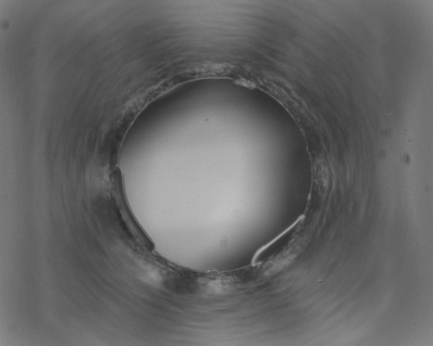 X0000077370564200611031914