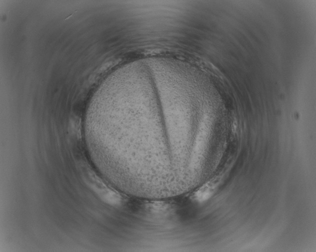 X0000077370565200611031914