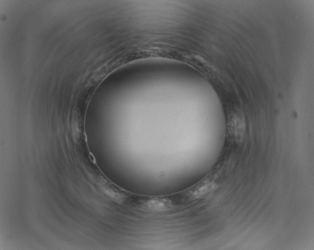 X0000077370566200611031914