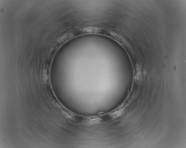 X0000077370569200611031914