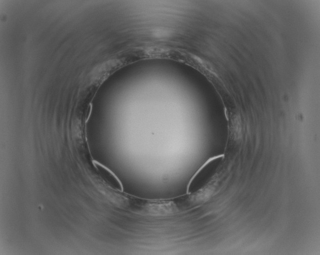 X0000077370571200611031914