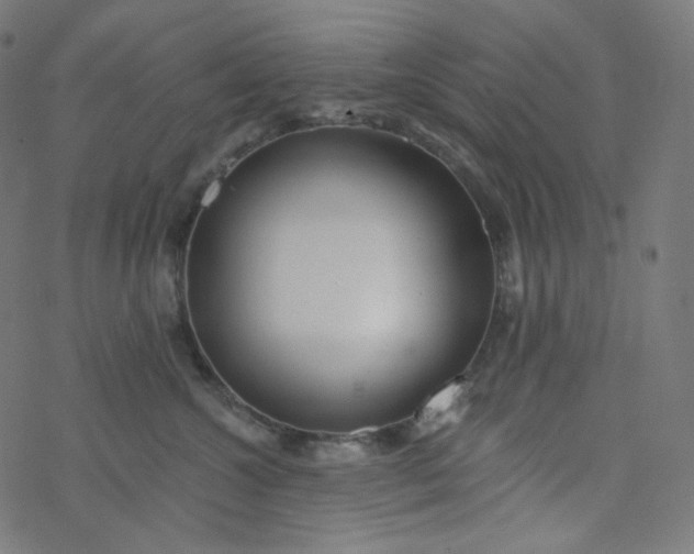 X0000077370572200611031914