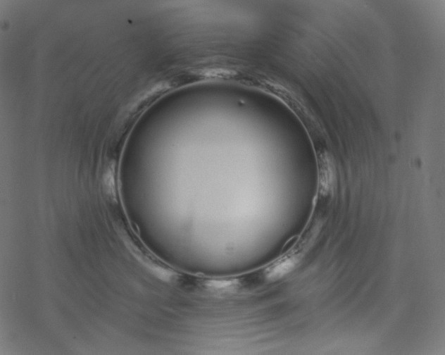 X0000077370573200611031914