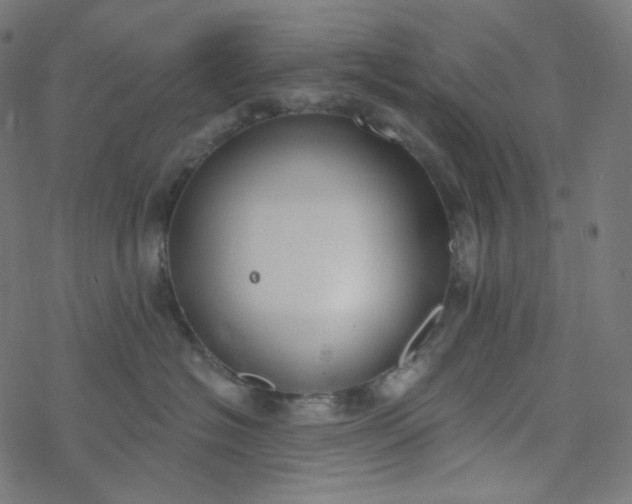 X0000077370574200611031914