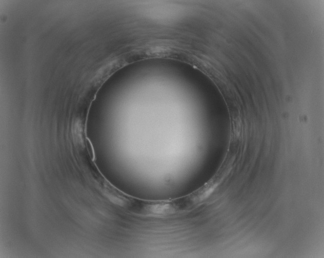 X0000077370575200611031914