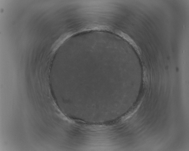 X0000077370577200611031913