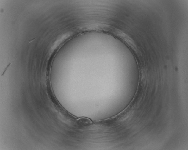 X0000077370578200611031913