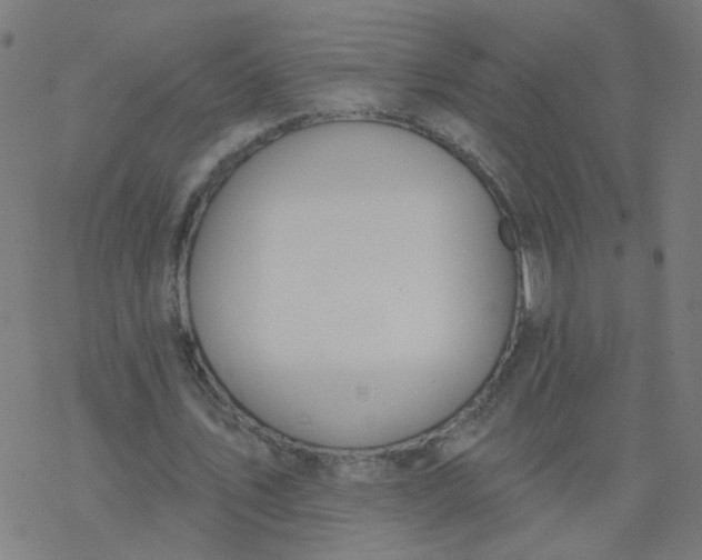 X0000077370579200611031913