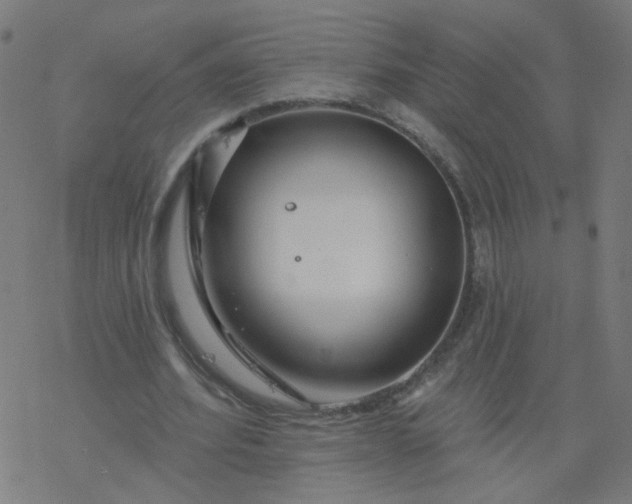 X0000077370580200611031913