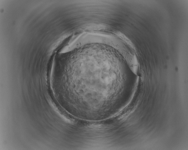 X0000077370581200611031913