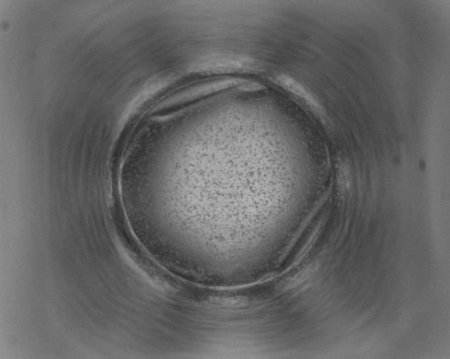 X0000077370582200611031913