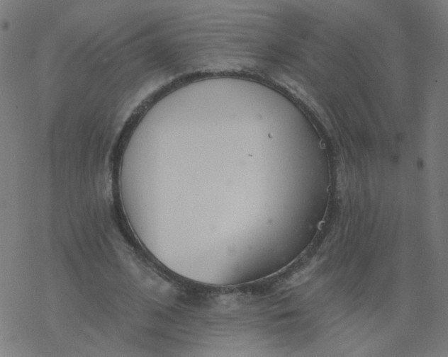 X0000077370584200611031913