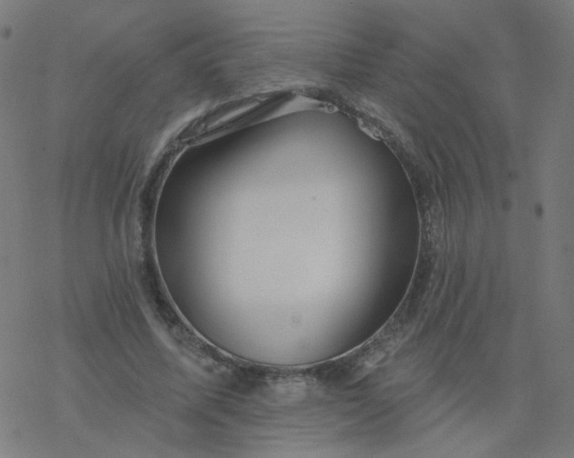 X0000077370587200611031913