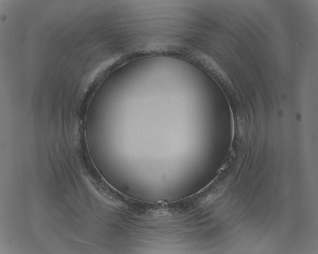 X0000077370588200611031913