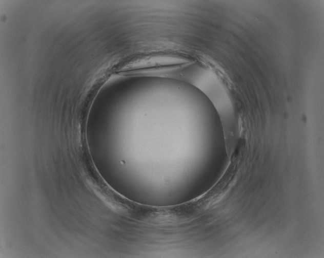 X0000077370589200611031913