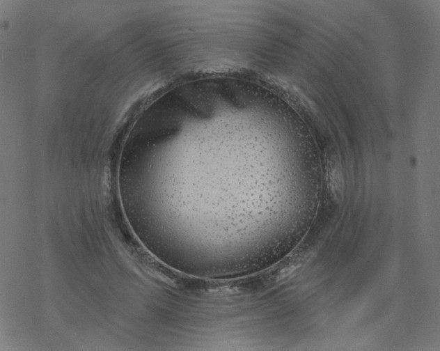 X0000077370591200611031913