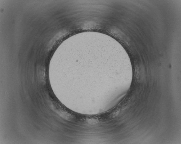 X0000077370592200611031913