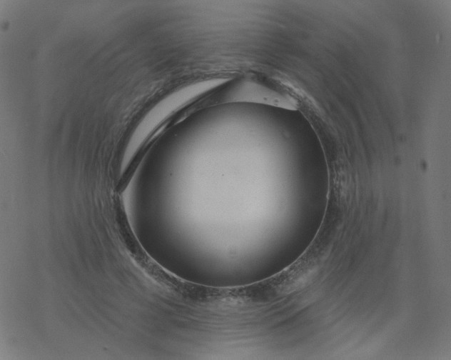 X0000077370593200611031913