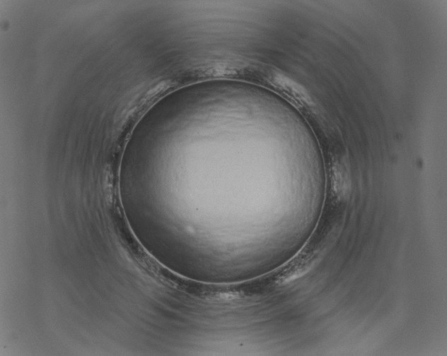 X0000077370594200611031913