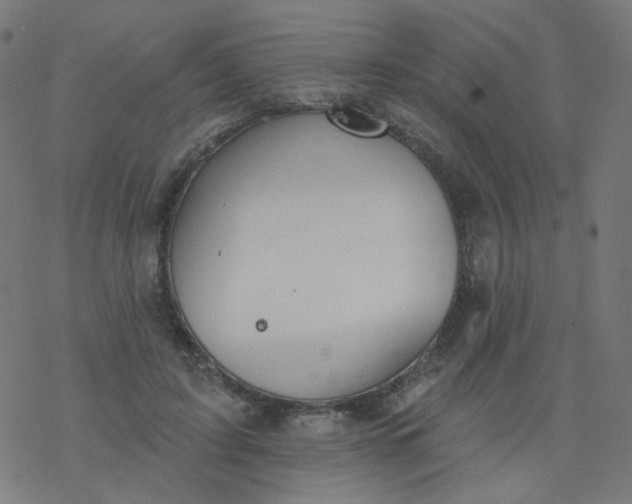 X0000077370595200611031913