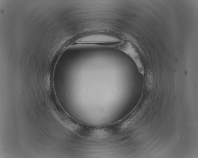 X0000077370596200611031913