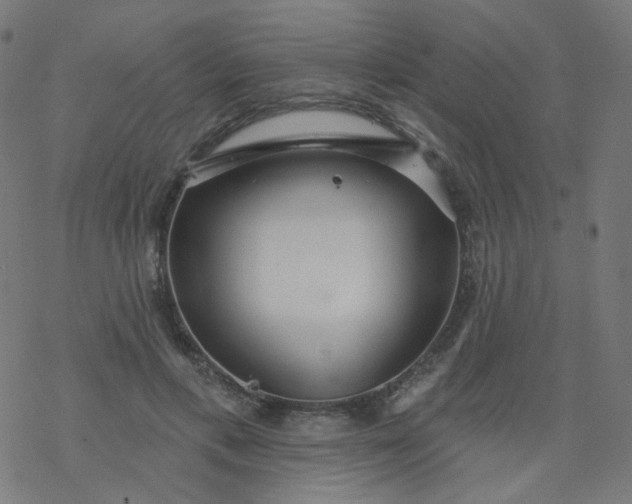 X0000077370597200611031913