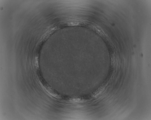 X0000077370598200611031913