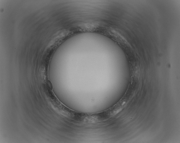 X0000077370599200611031913