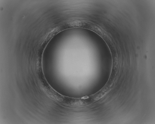 X0000077370600200611031913