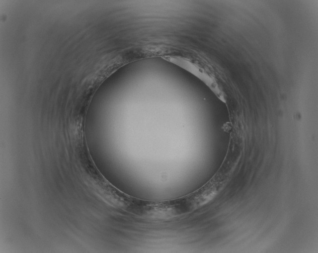 X0000077370601200611031913