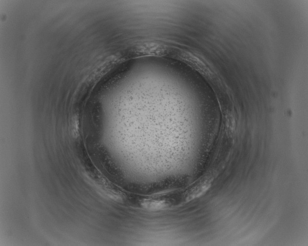 X0000077370602200611031913