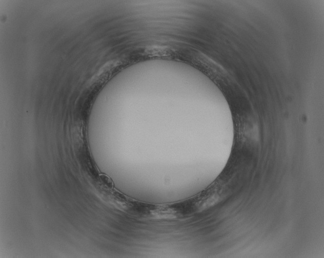 X0000077370603200611031913