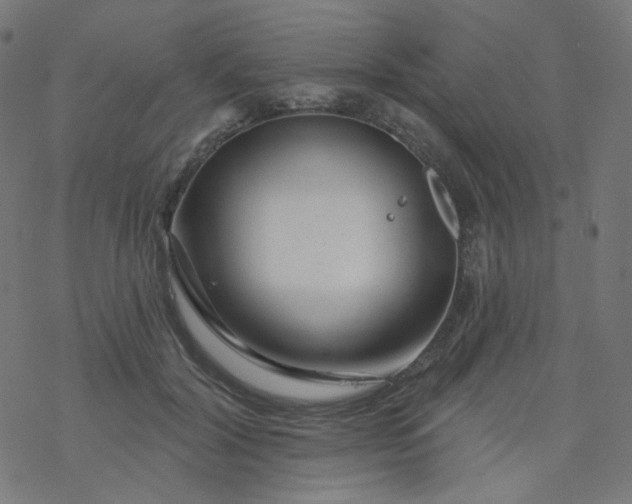 X0000077370604200611031913