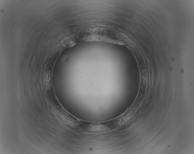 X0000077370605200611031913