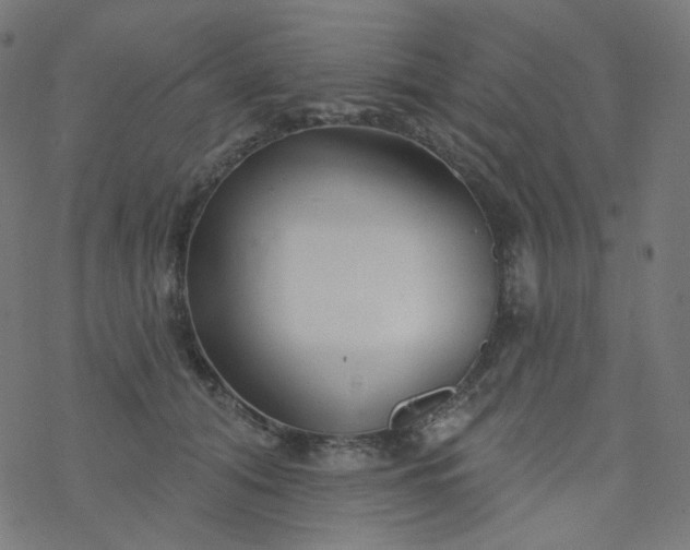 X0000077370608200611031913