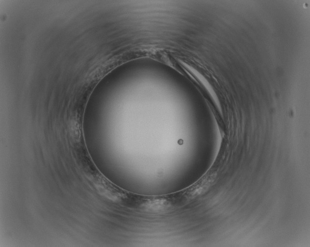 X0000077370609200611031913