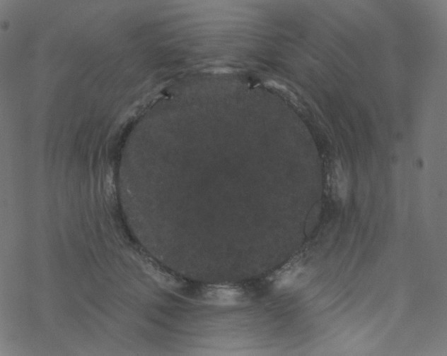 X0000077370610200611031913