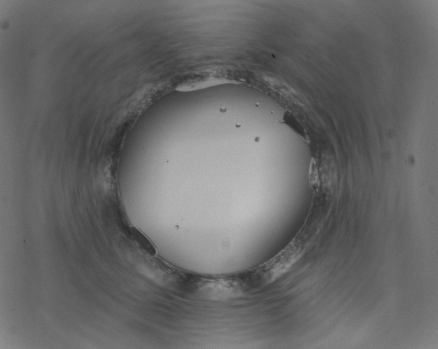 X0000077370611200611031913